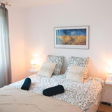 Le Cocon Cosy - T2 - Parking - Proche Zoo Daire La Salvetat Dış mekan fotoğraf