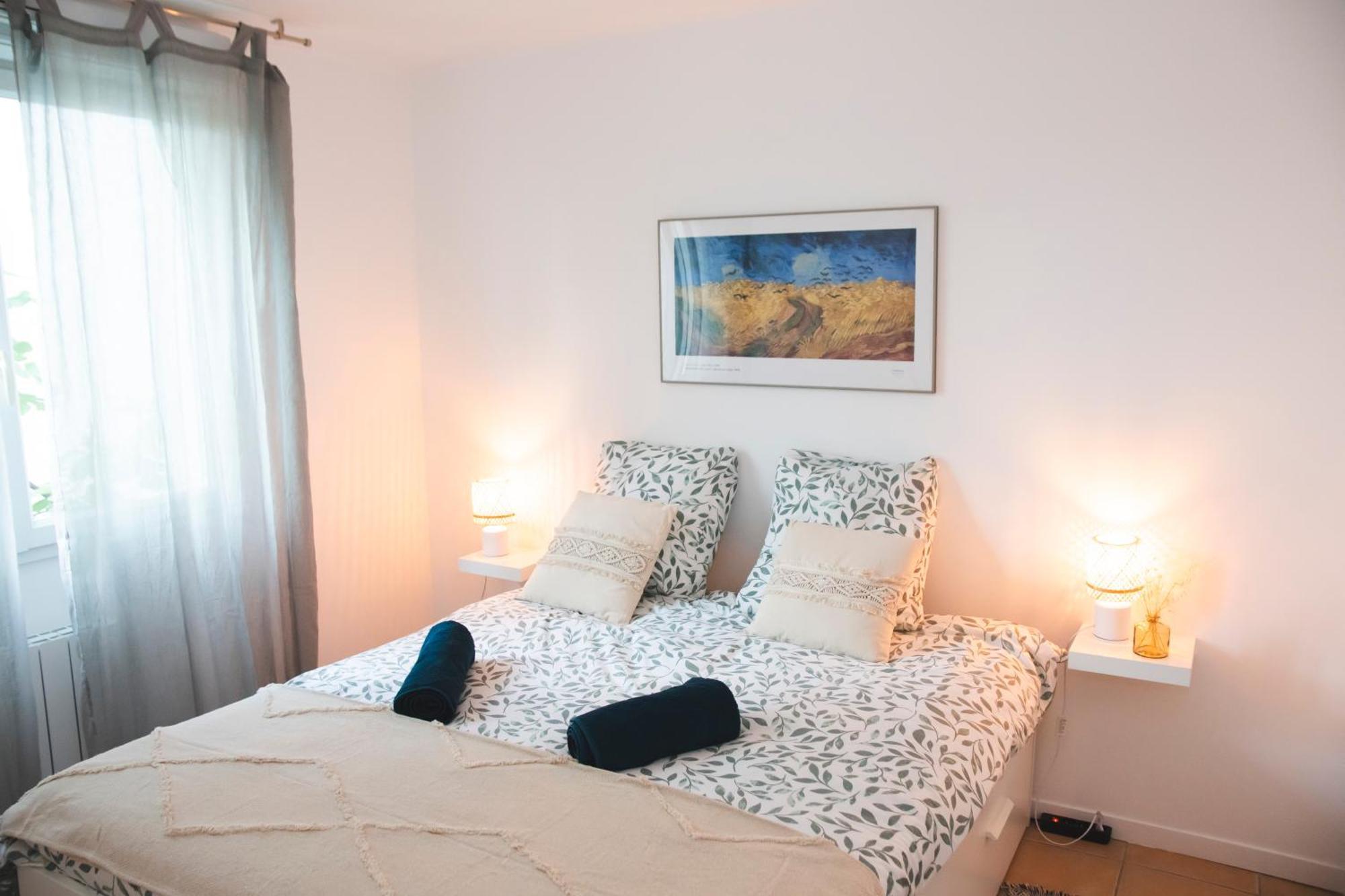 Le Cocon Cosy - T2 - Parking - Proche Zoo Daire La Salvetat Dış mekan fotoğraf
